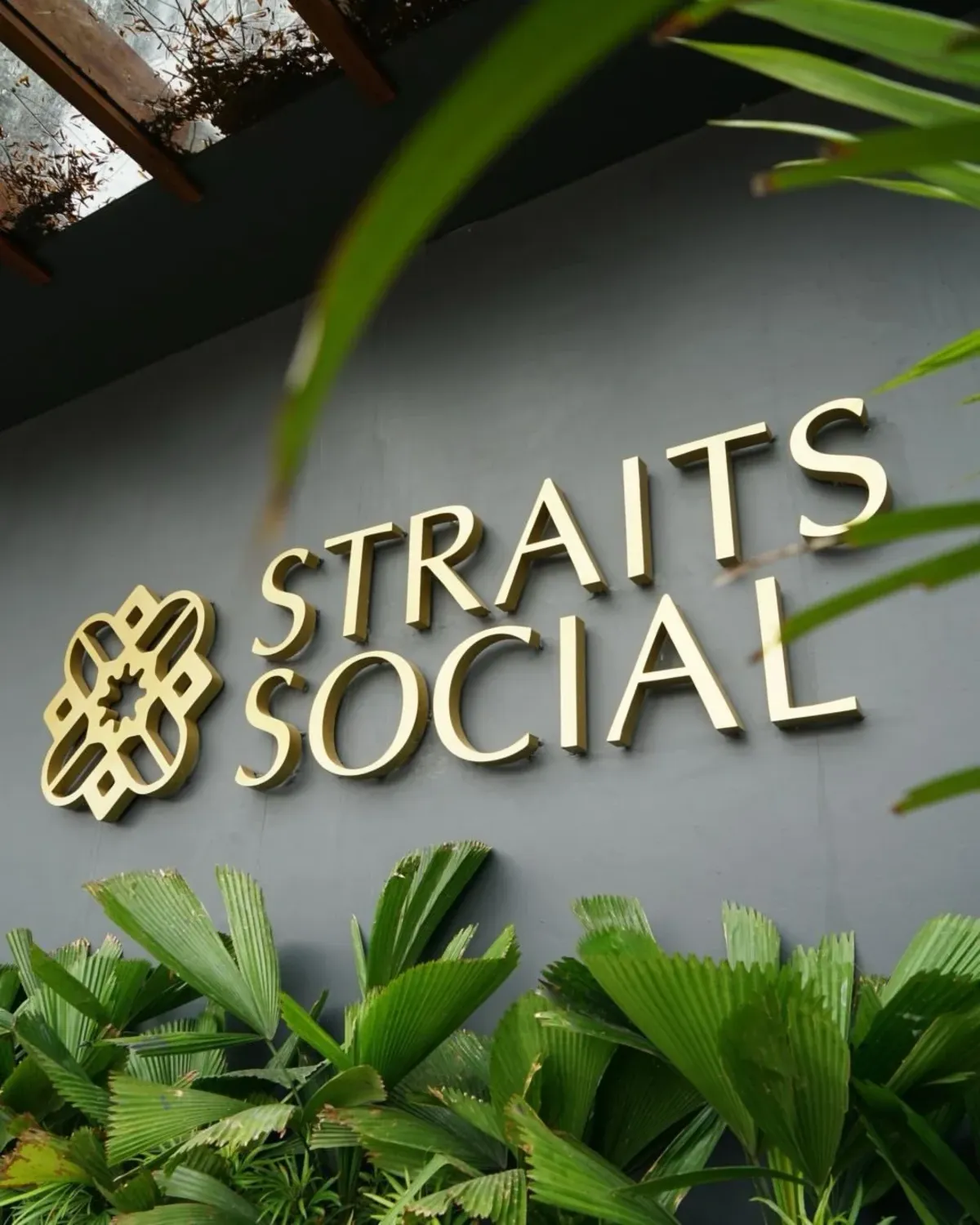 Brass Straits Social logo on a grey wall between tropical plants